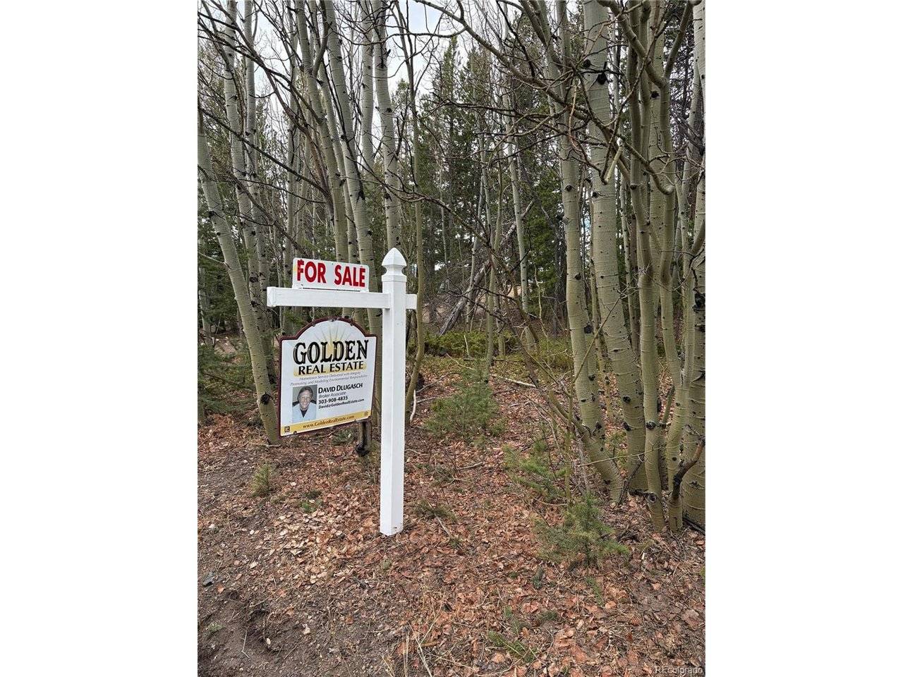 34251 Skyline, Golden, CO 80403