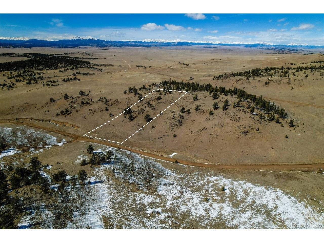 Dog Chief, Hartsel, CO 80449