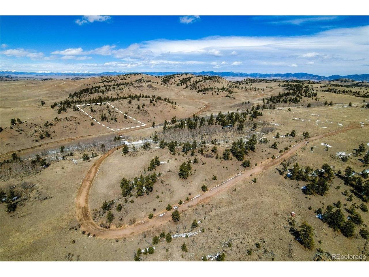 Dog Chief, Hartsel, CO 80449