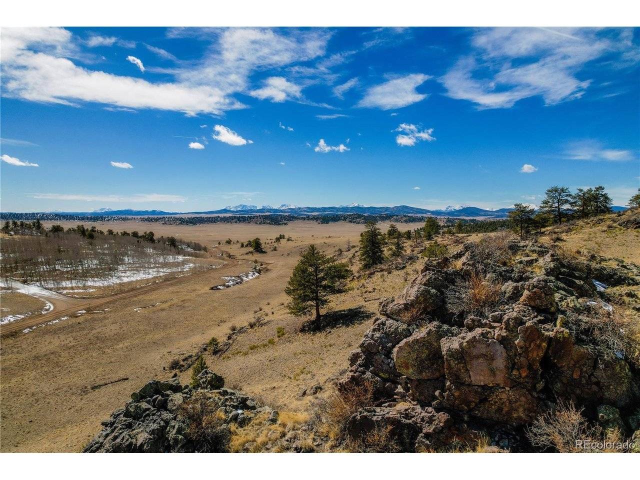 Dog Chief, Hartsel, CO 80449