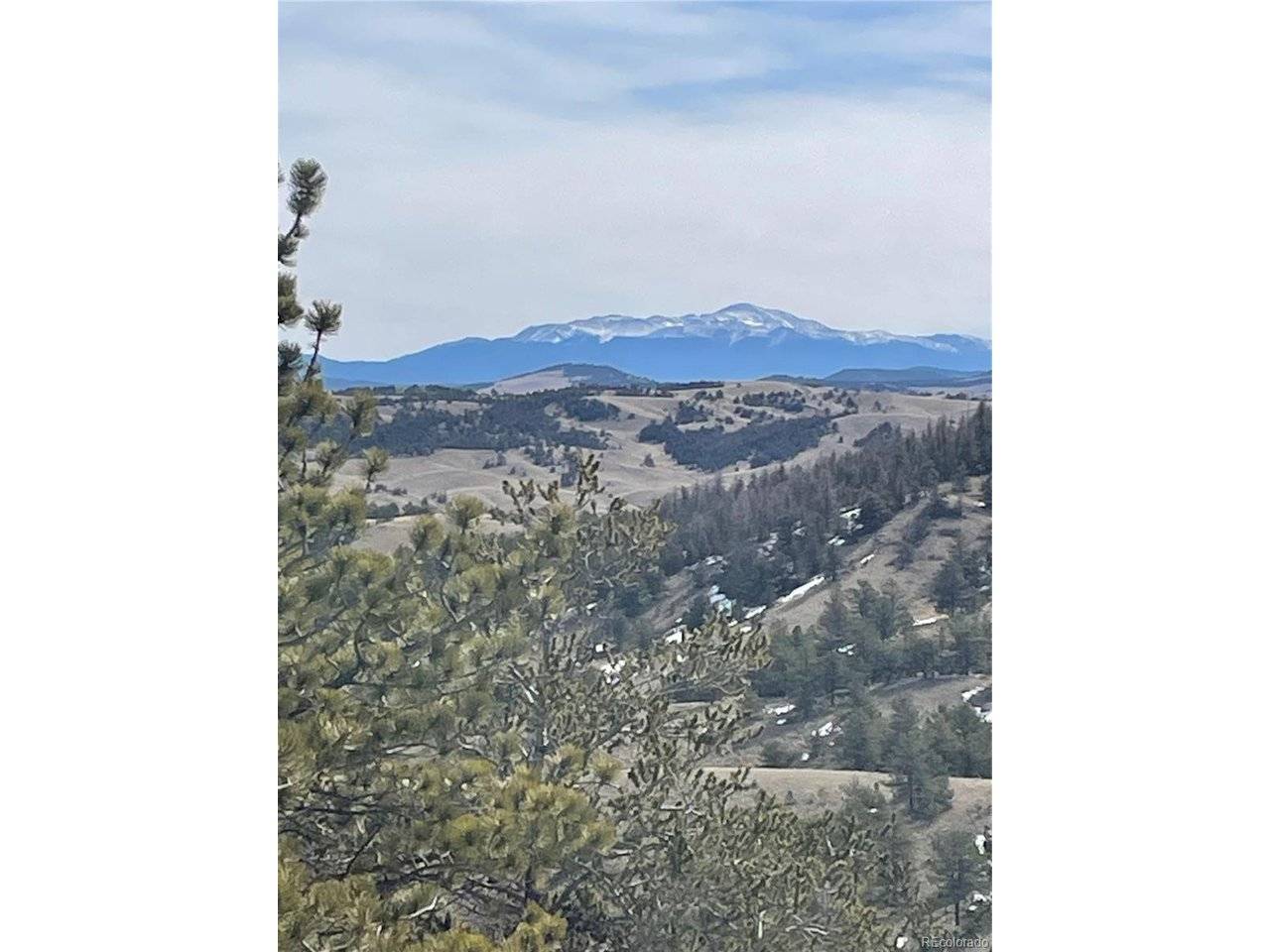 Antelope, Hartsel, CO 80449