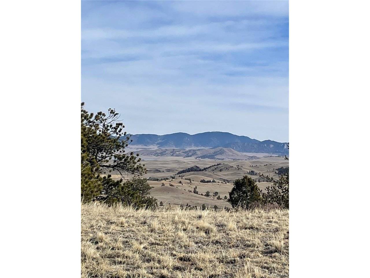 Antelope, Hartsel, CO 80449