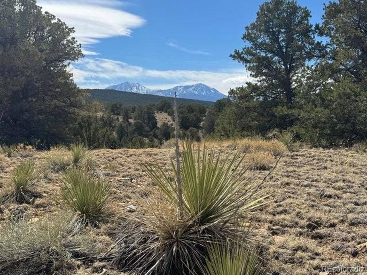 29 Orlando's, Walsenburg, CO 81089