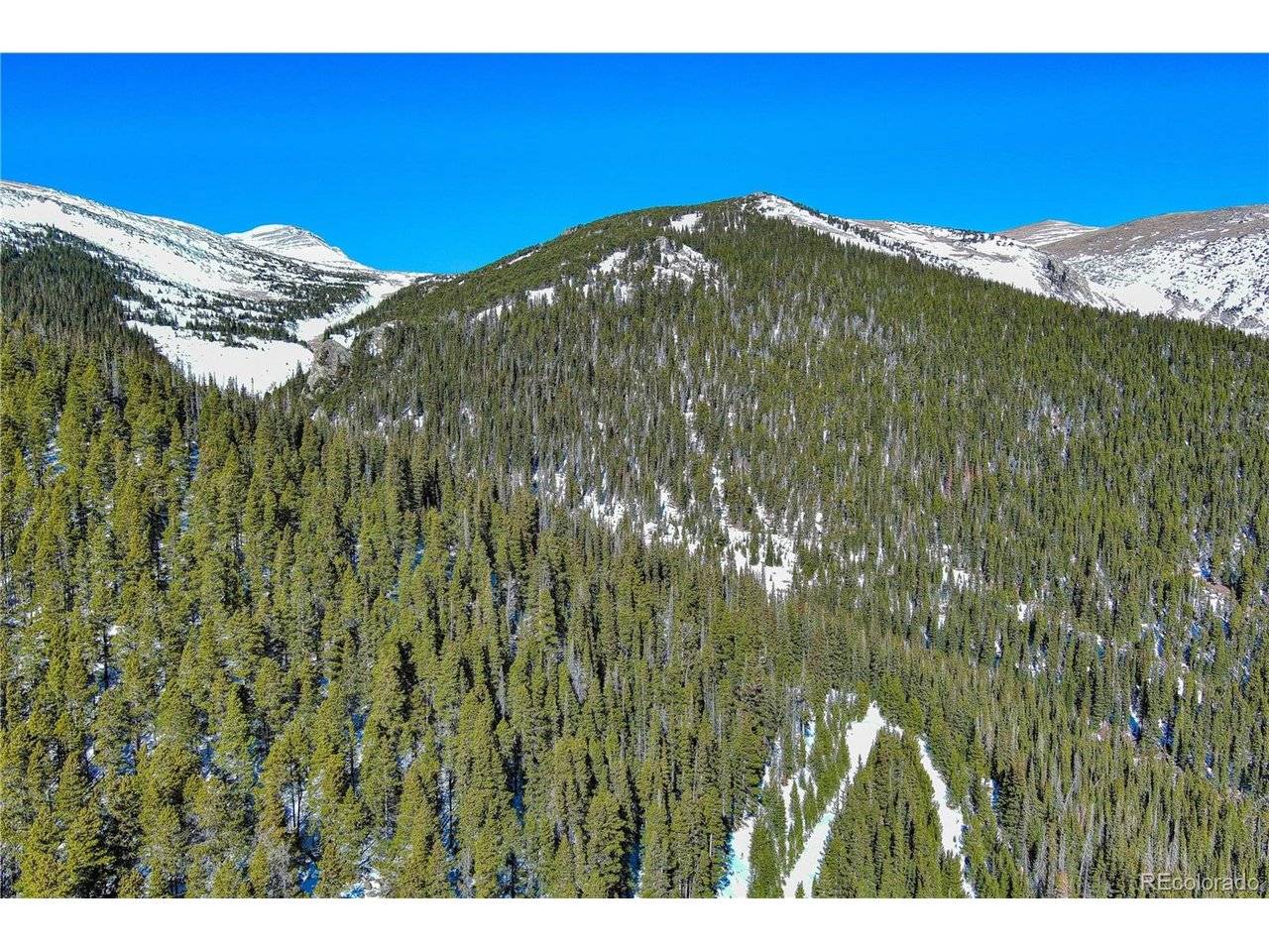 Nebraska Circle, Idaho Springs, CO 80452