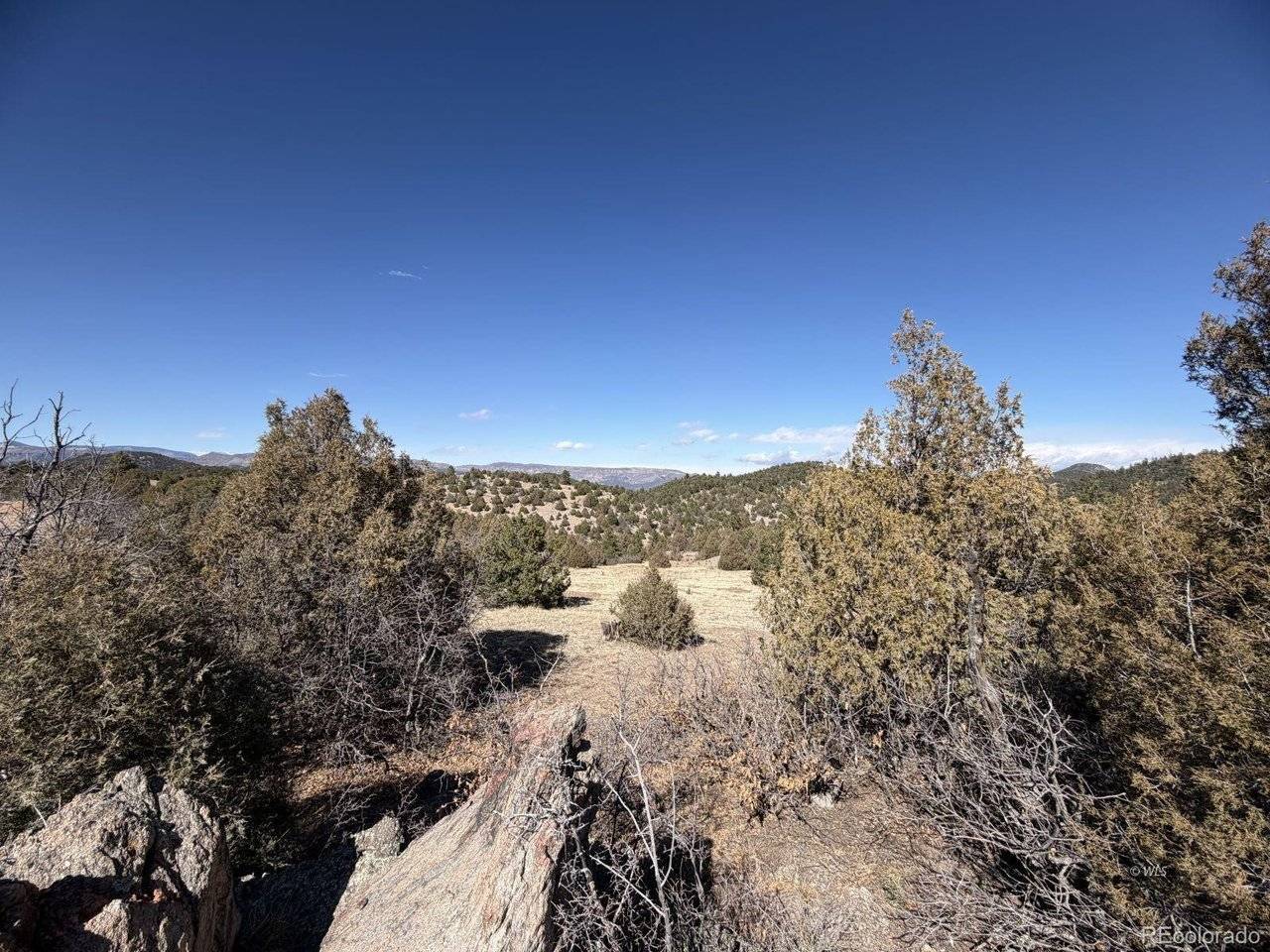 91 King, Cotopaxi, CO 81223