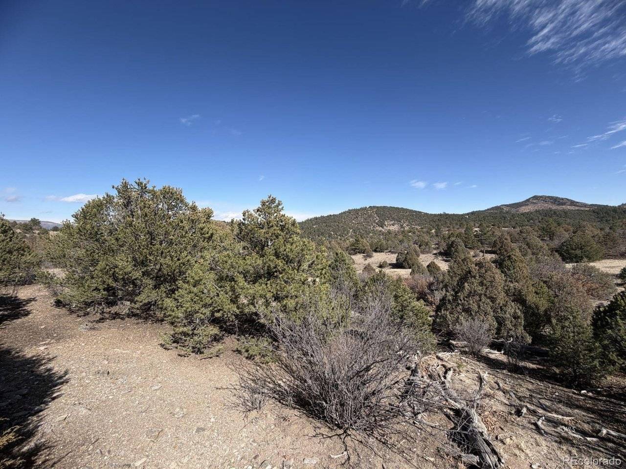 91 King, Cotopaxi, CO 81223