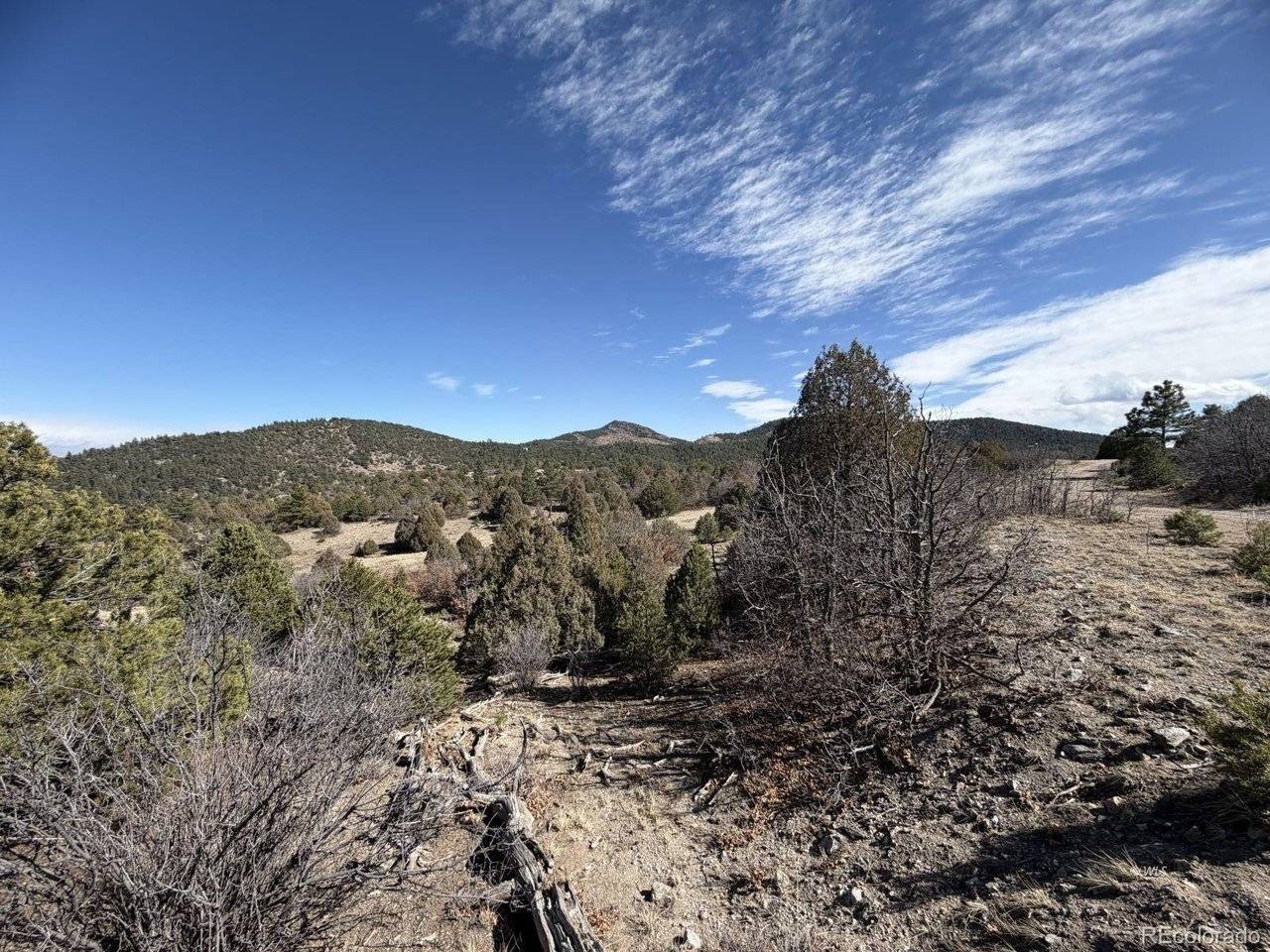 91 King, Cotopaxi, CO 81223