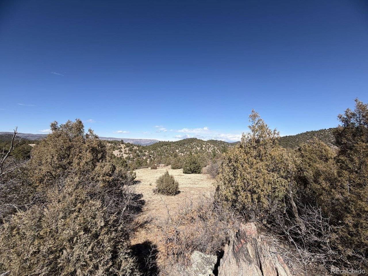 91 King, Cotopaxi, CO 81223