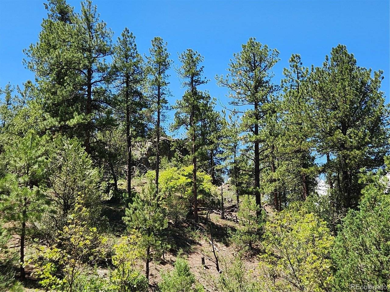 102 Kevin, Cotopaxi, CO 81223