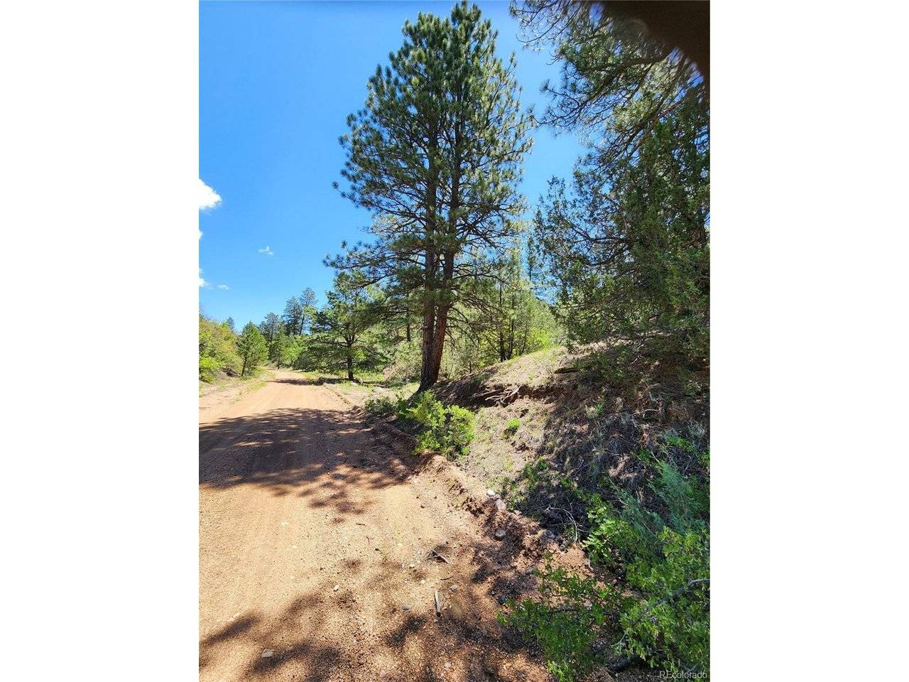 102 Kevin, Cotopaxi, CO 81223