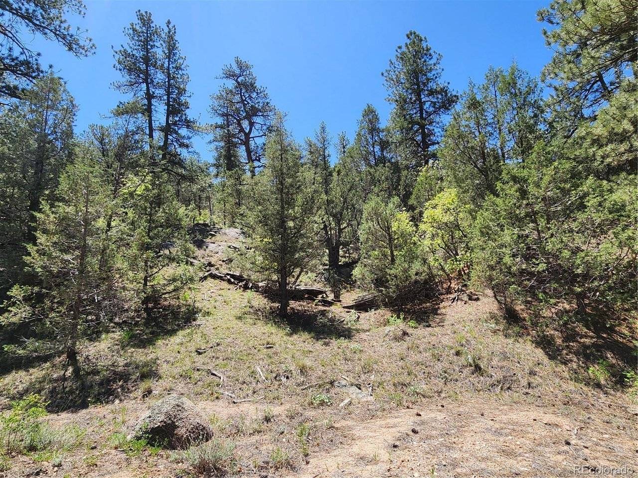 102 Kevin, Cotopaxi, CO 81223