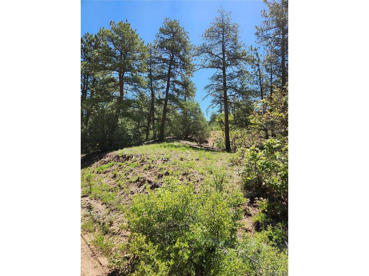 102 Kevin, Cotopaxi, CO 81223