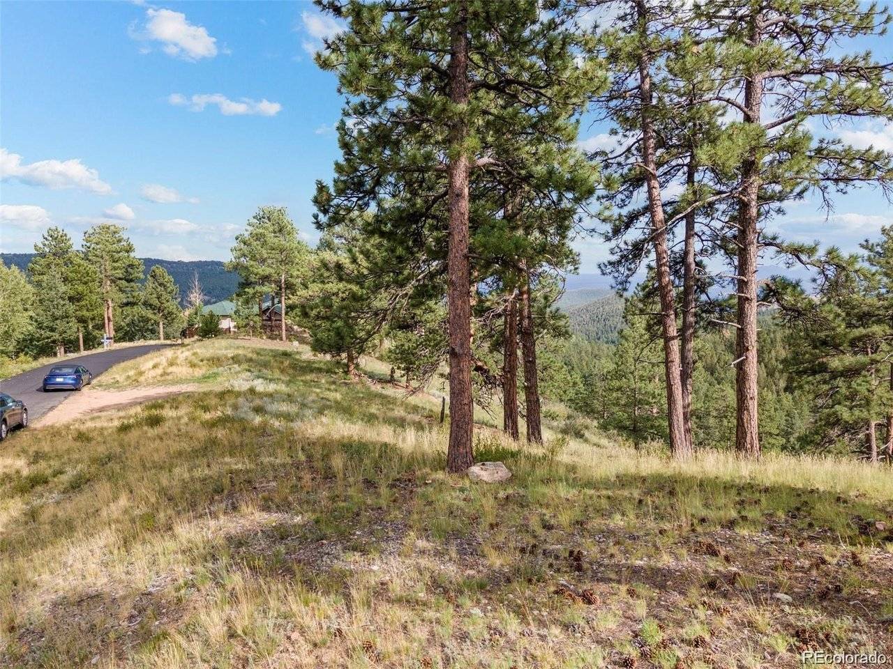 13817 Gordon, Pine, CO 80470