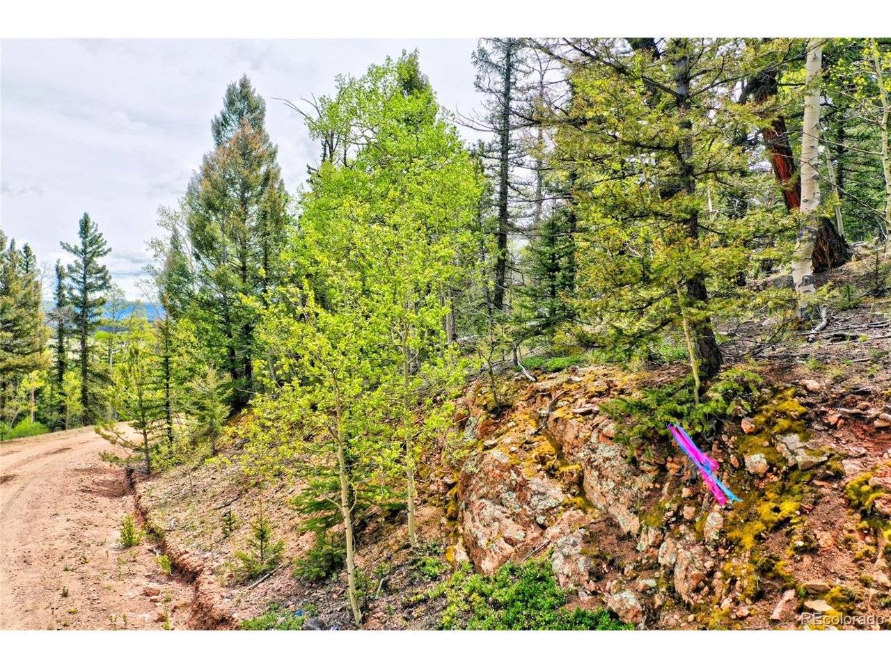 Address not disclosed, Jefferson, CO 80456