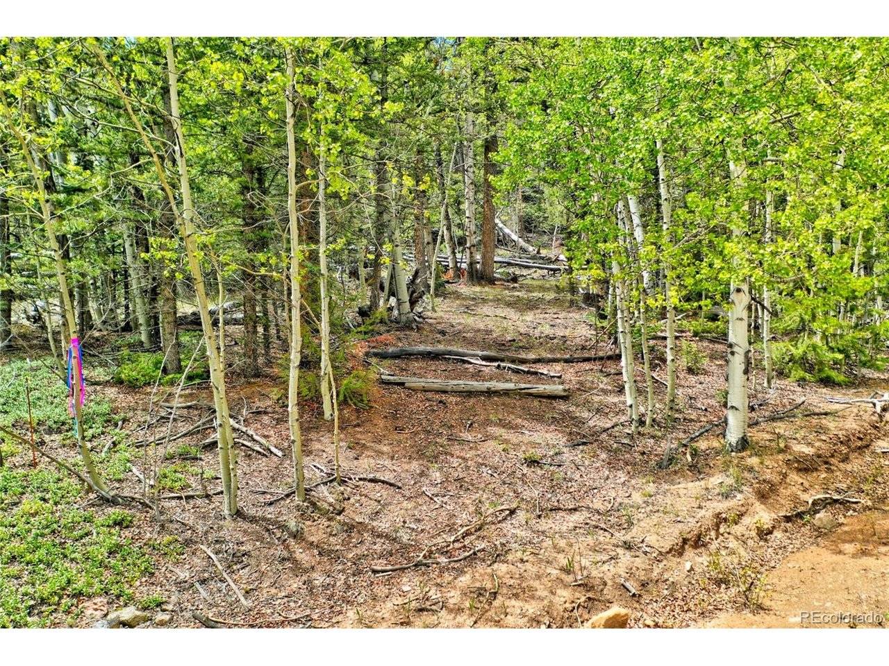 Address not disclosed, Jefferson, CO 80456