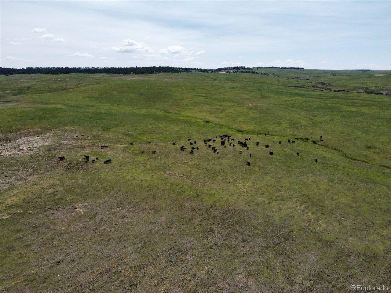 8 County Road 77, Calhan, CO 80808