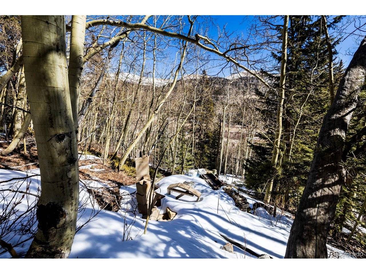 944 Roberts, Alma, CO 80420