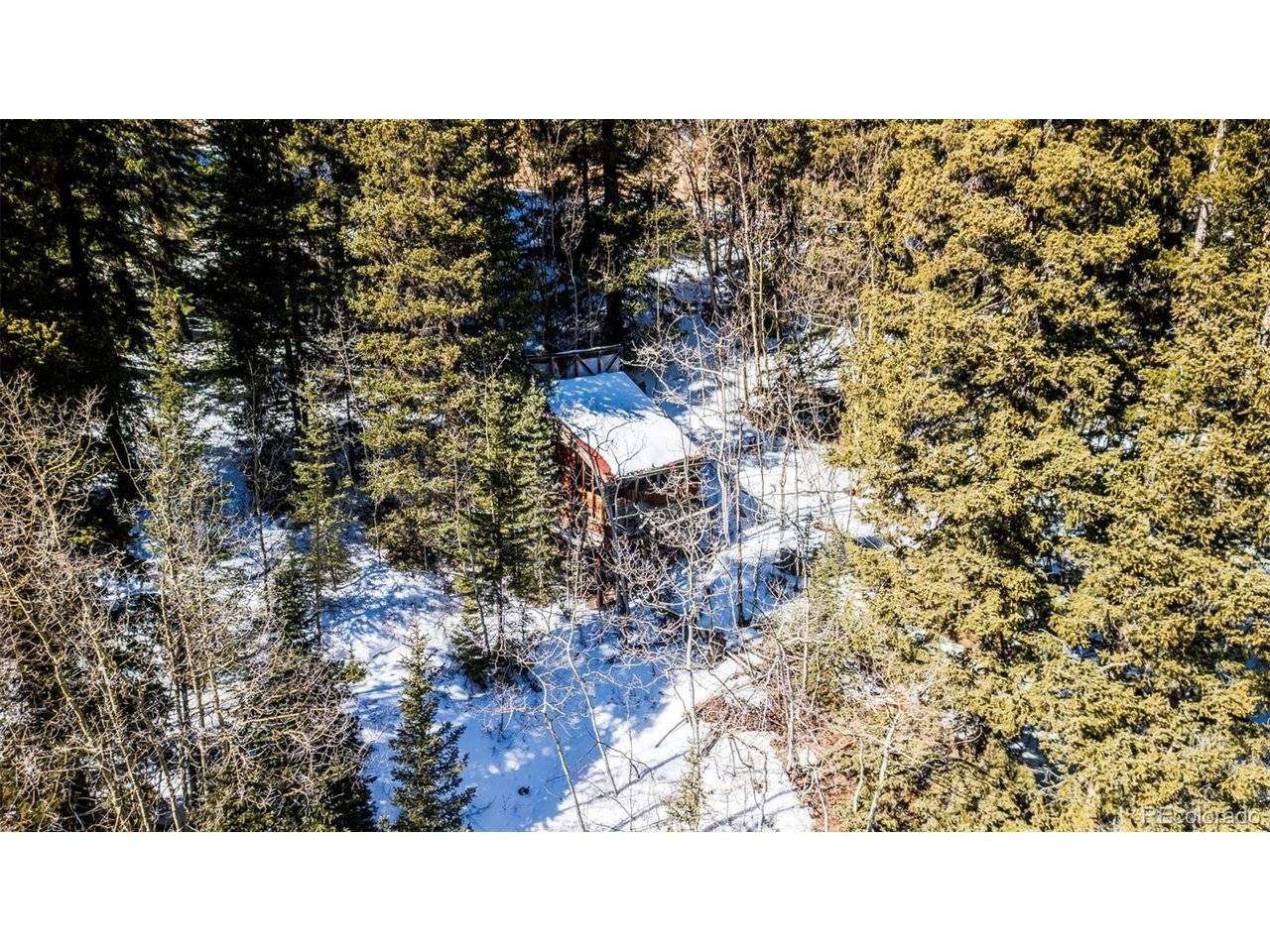 944 Roberts, Alma, CO 80420