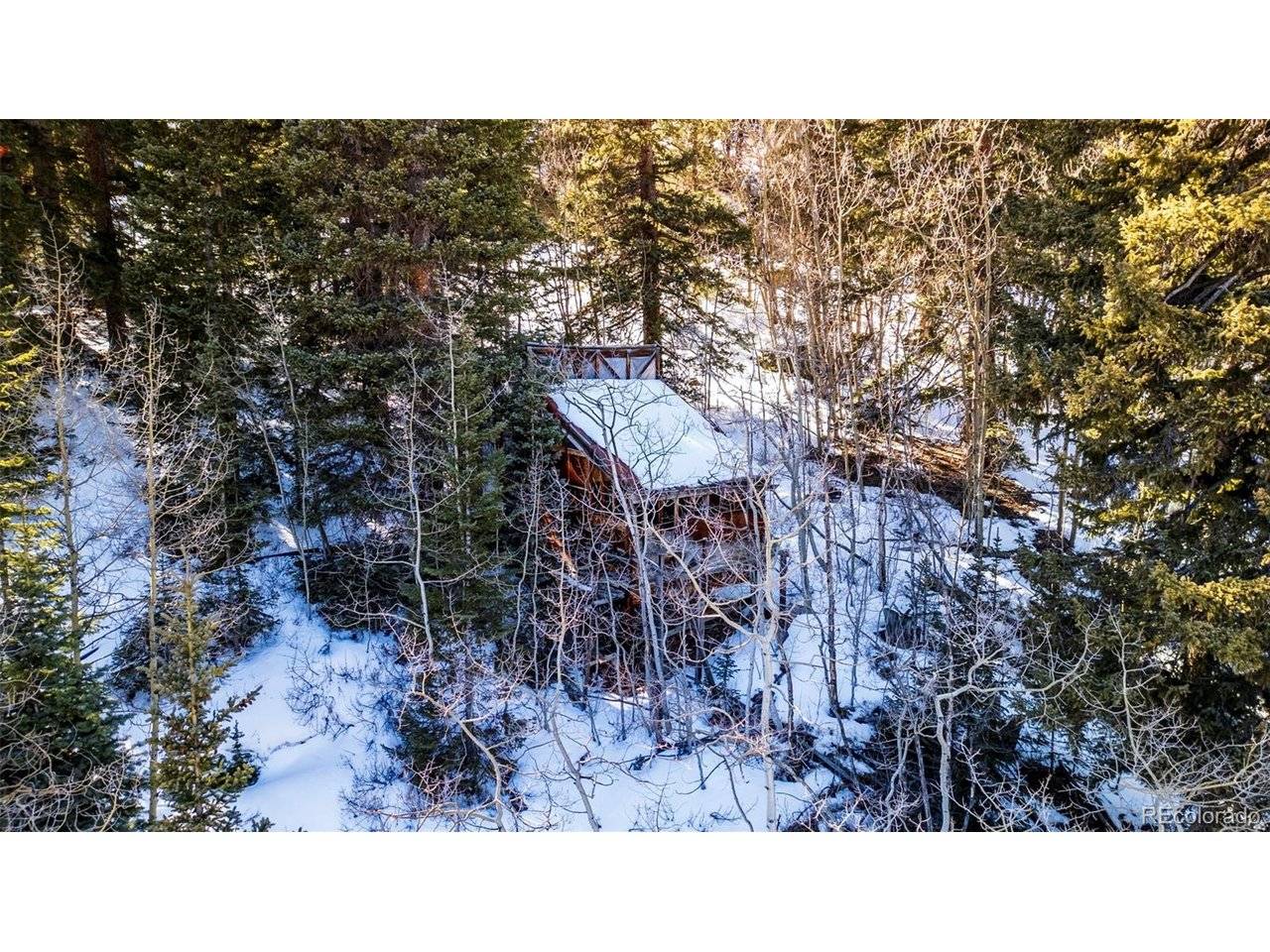 944 Roberts, Alma, CO 80420