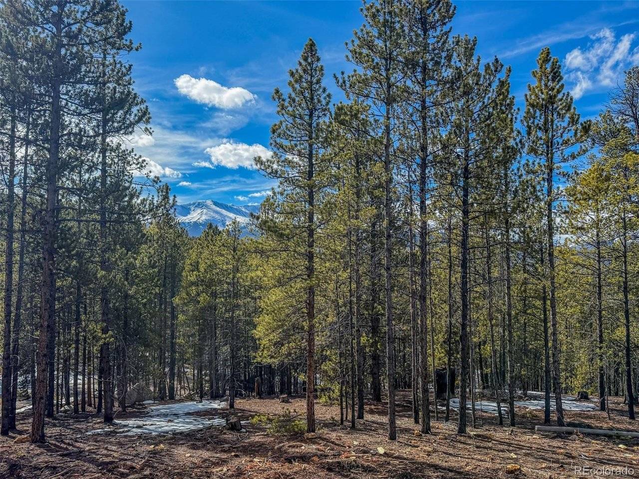 483 Mt Massive, Twin Lakes, CO 81251