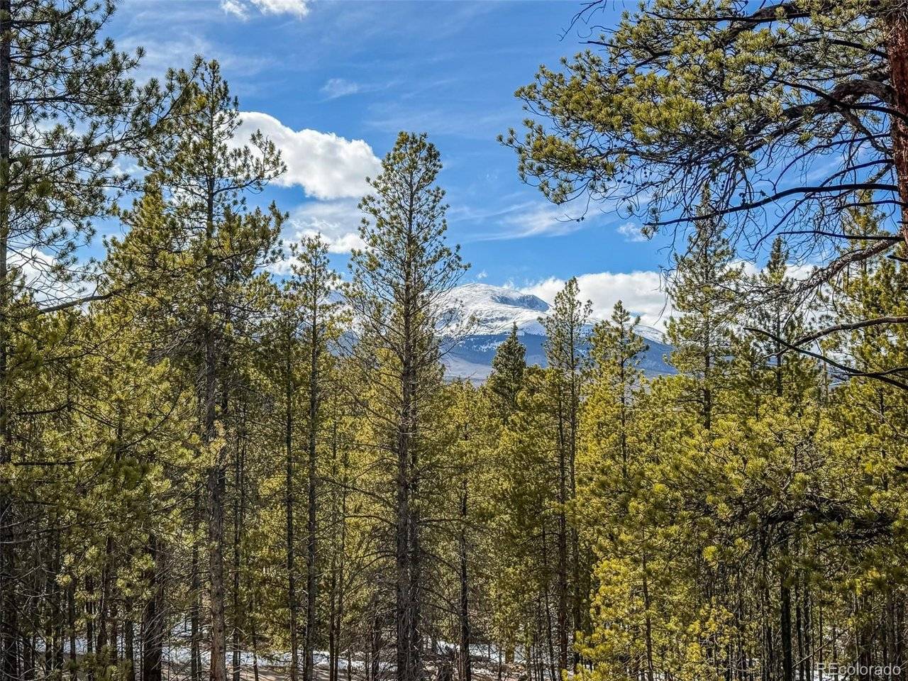 483 Mt Massive, Twin Lakes, CO 81251