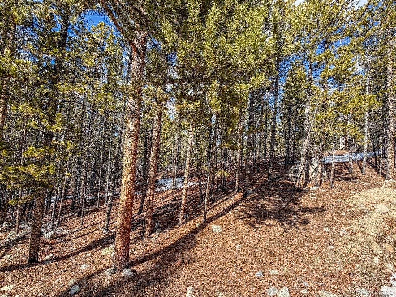 483 Mt Massive, Twin Lakes, CO 81251