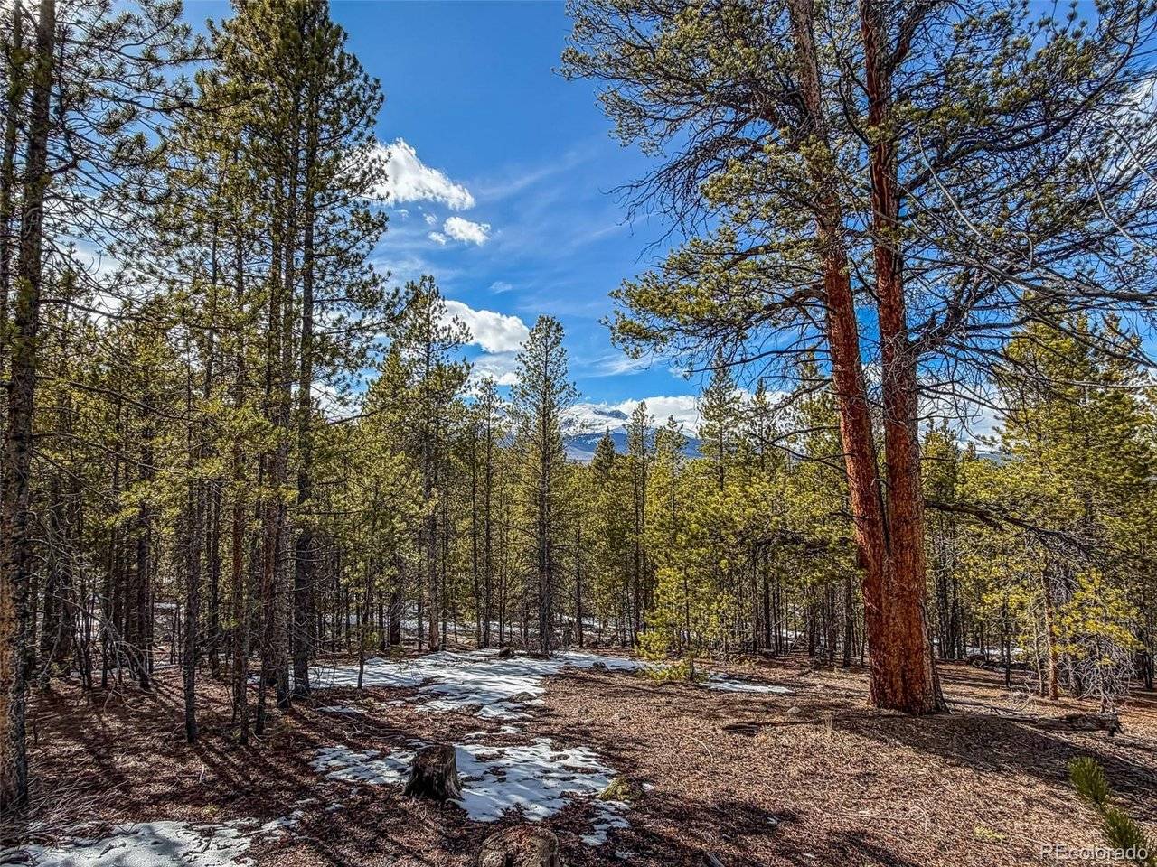 483 Mt Massive, Twin Lakes, CO 81251