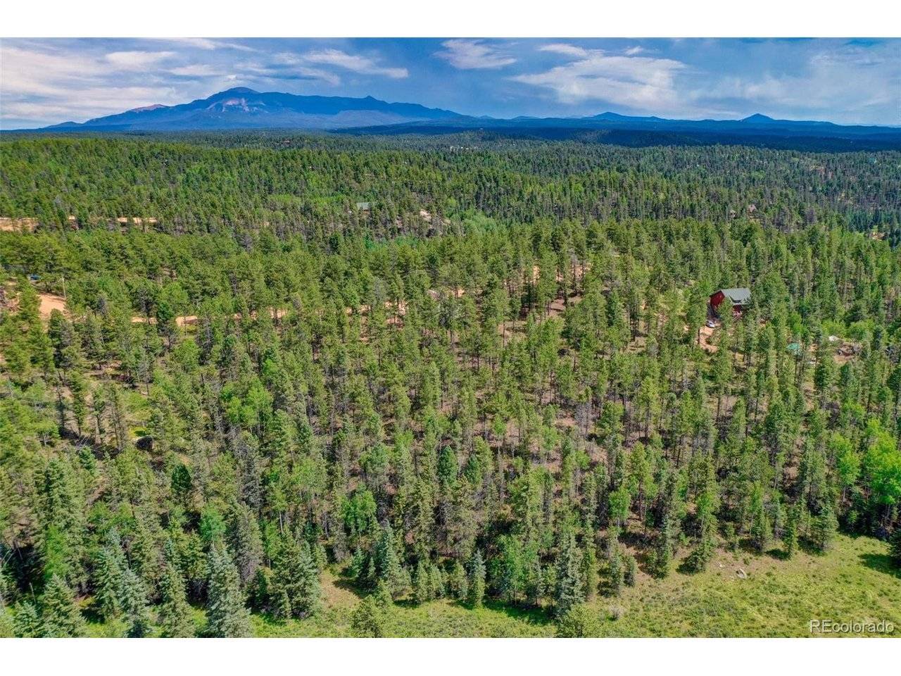 449 Woody Creek, Florissant, CO 80816