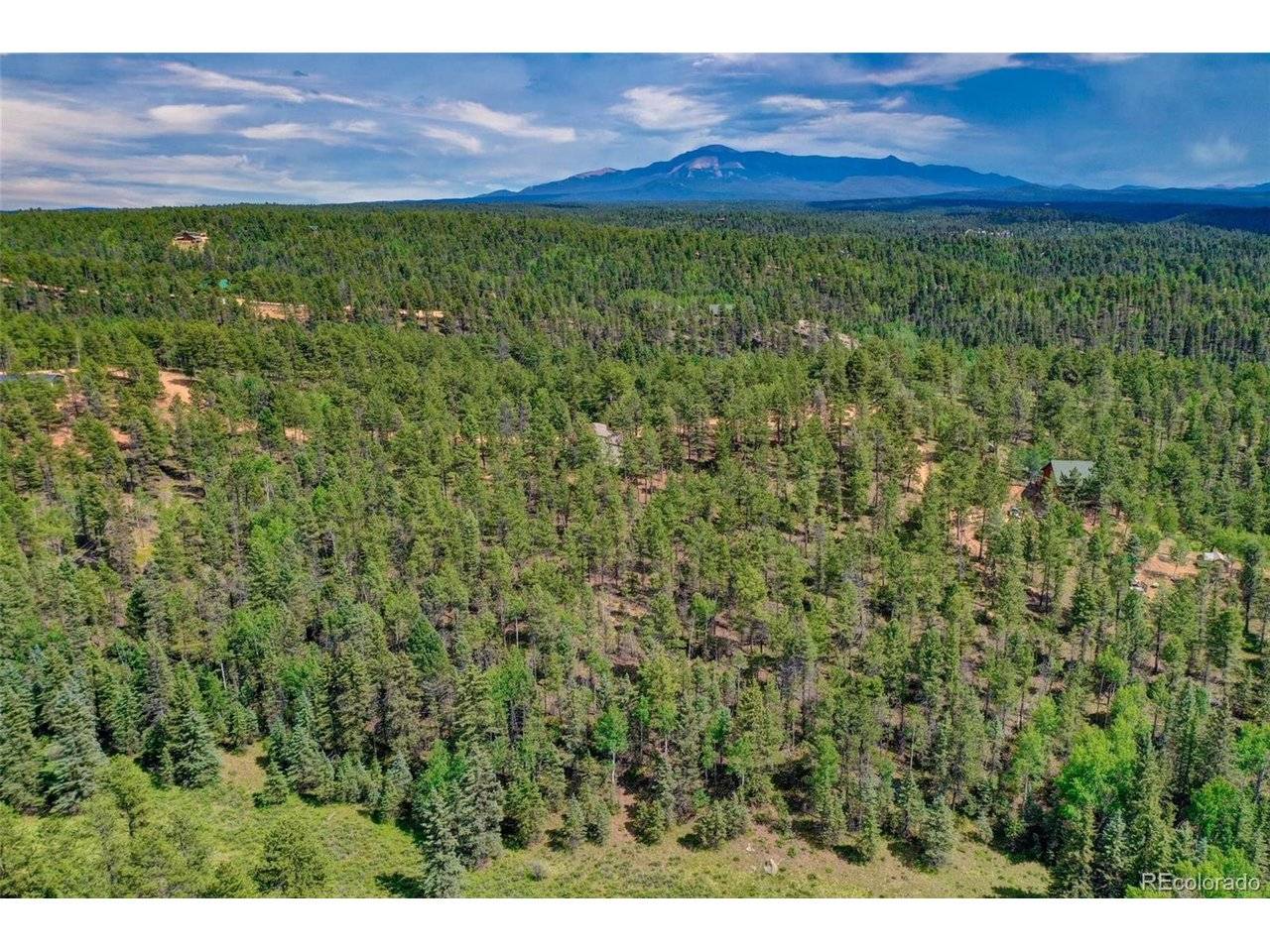 449 Woody Creek, Florissant, CO 80816