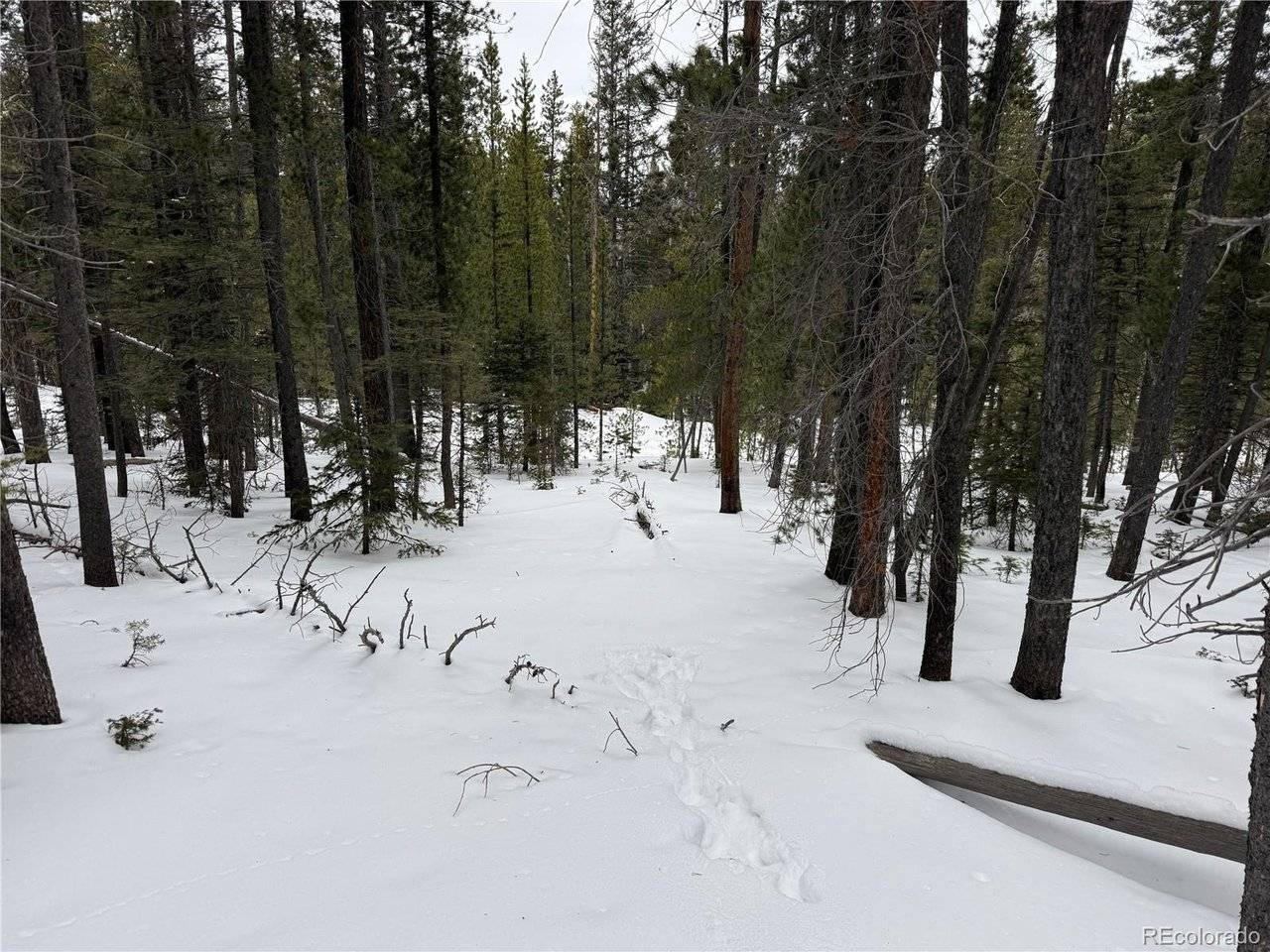 2806 Moir, Fort Garland, CO 81133