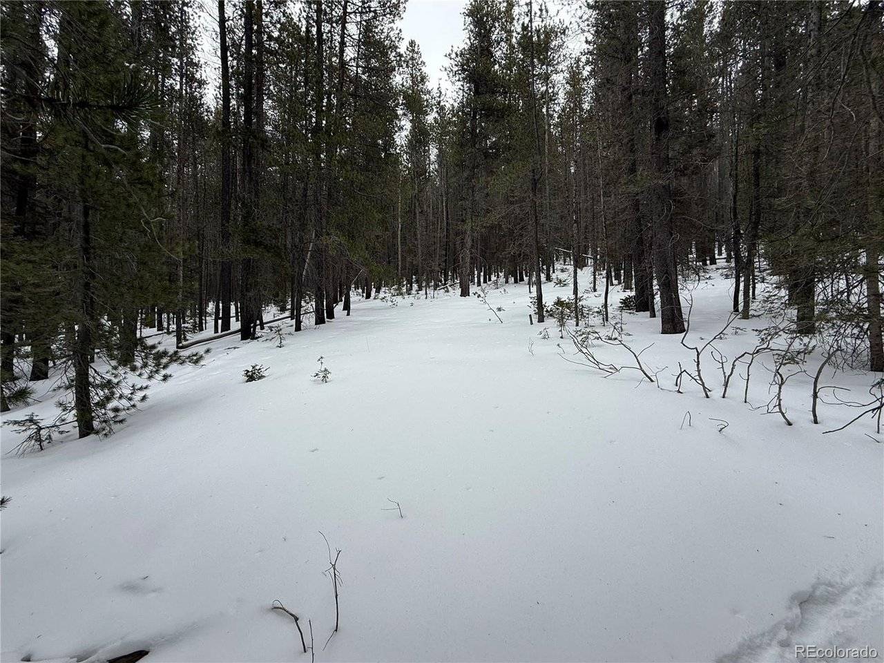 2806 Moir, Fort Garland, CO 81133