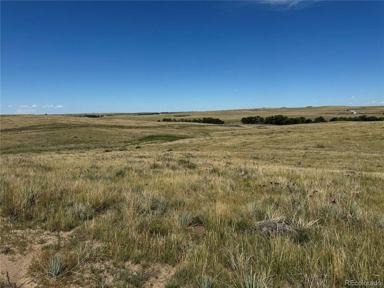 0 Lot 17 Happiness, Kiowa, CO 80117