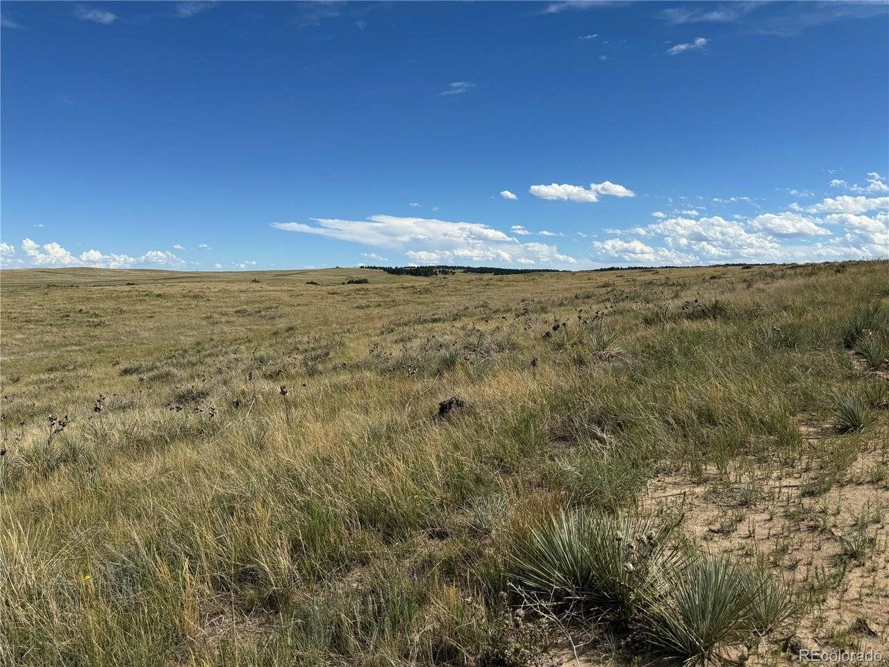 0 Lot 17 Happiness, Kiowa, CO 80117