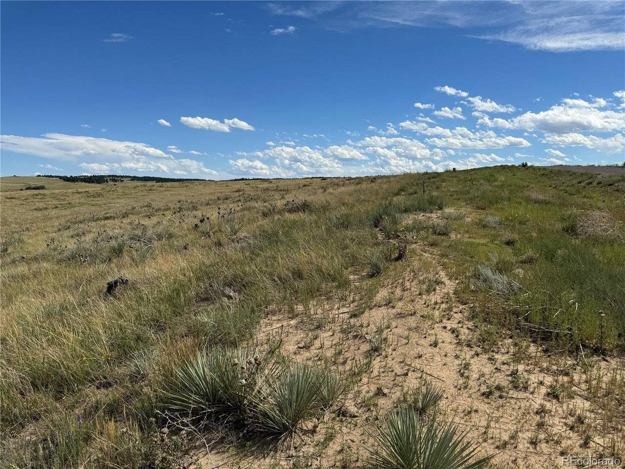 0 Lot 17 Happiness, Kiowa, CO 80117