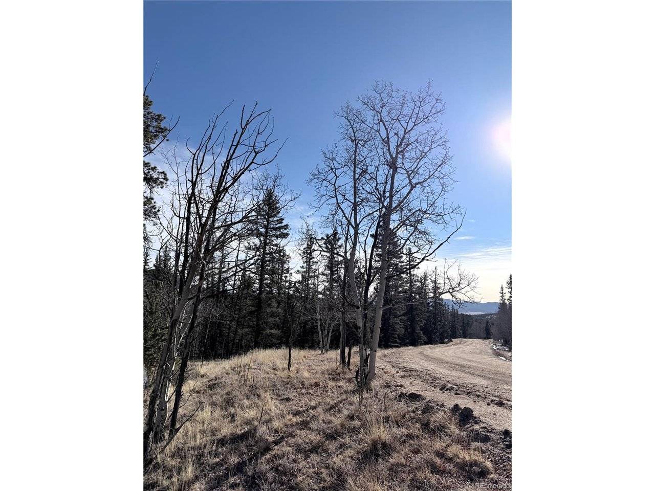 50 Rawhide, Jefferson, CO 80456