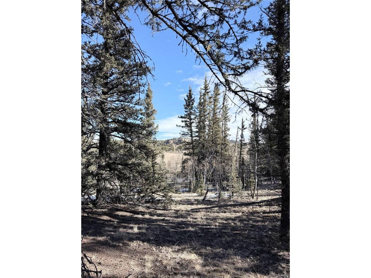 50 Rawhide, Jefferson, CO 80456