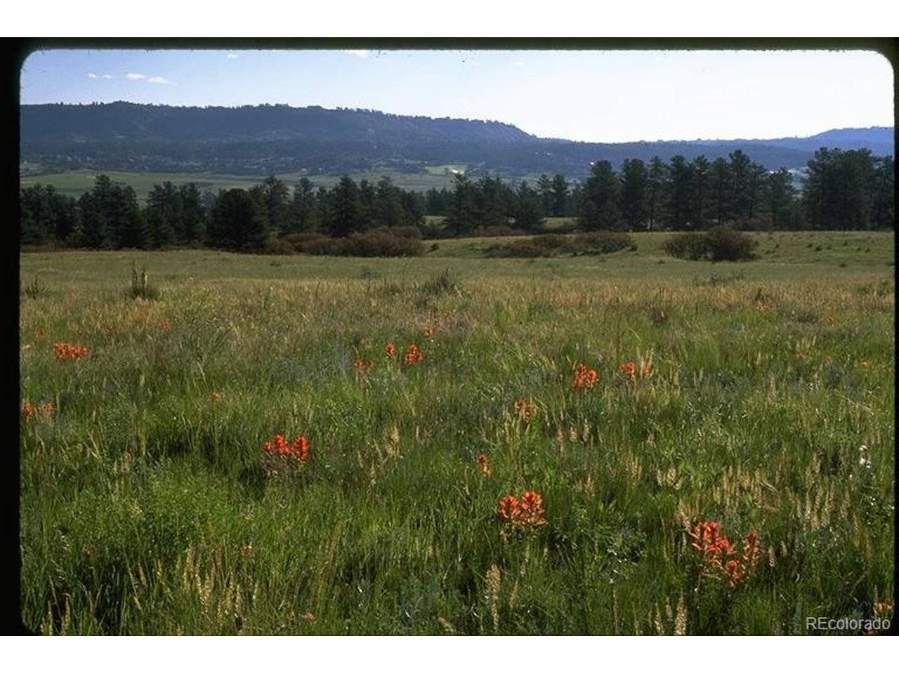 2511 Keep, Sedalia, CO 80135