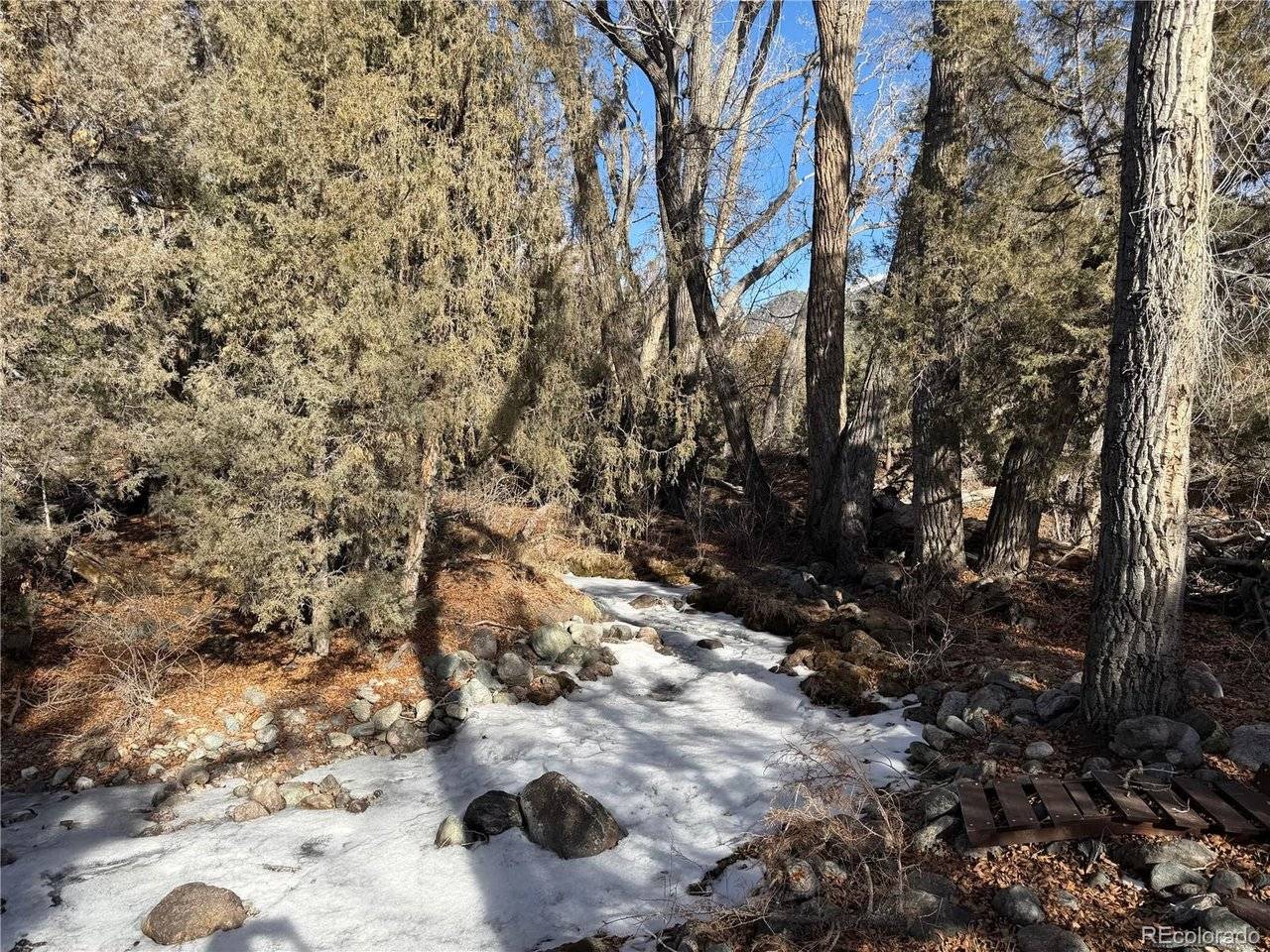 3899 Rarity, Crestone, CO 81131