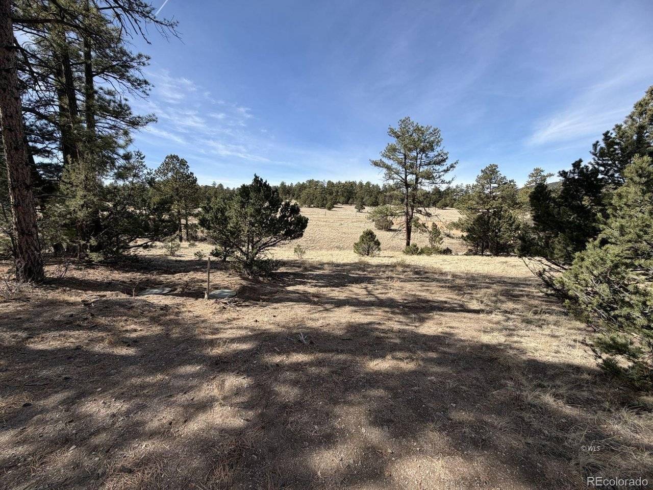 262 Harmon, Cotopaxi, CO 81223