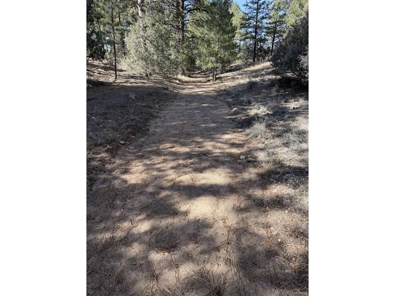 262 Harmon, Cotopaxi, CO 81223