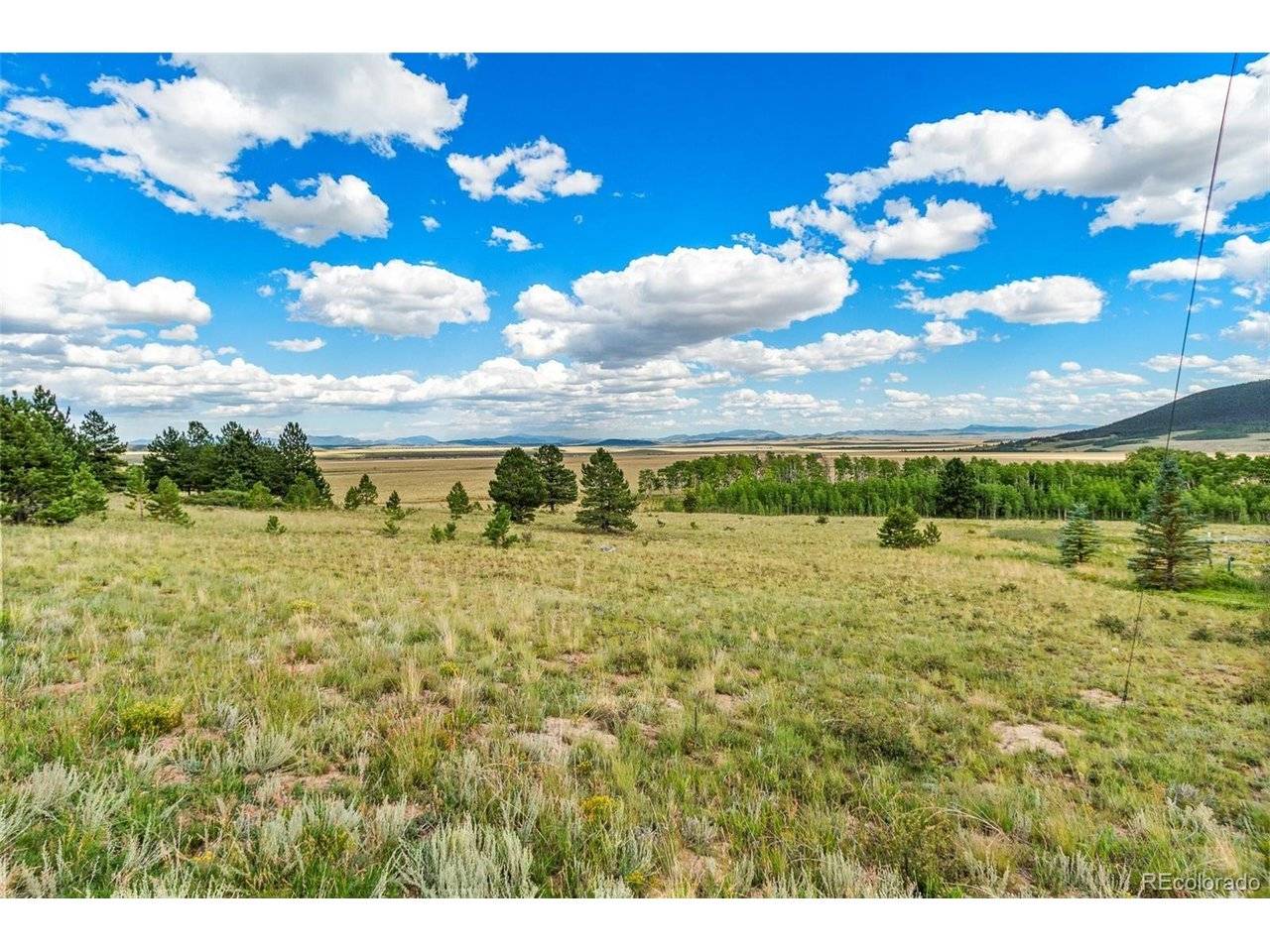 1327 Sheep Ridge, Fairplay, CO 80440