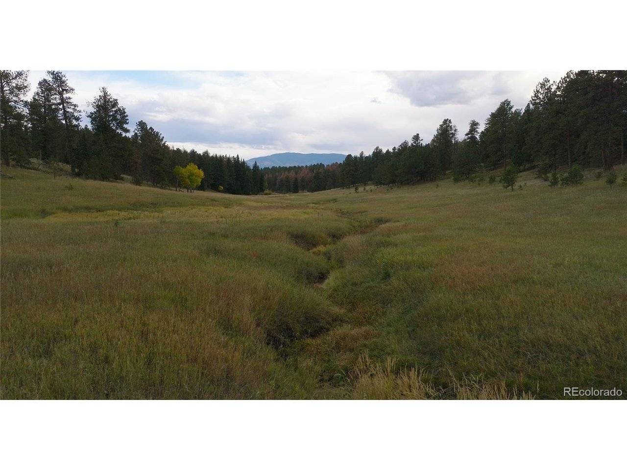 12434 S US Hwy 285, Conifer, CO 80433