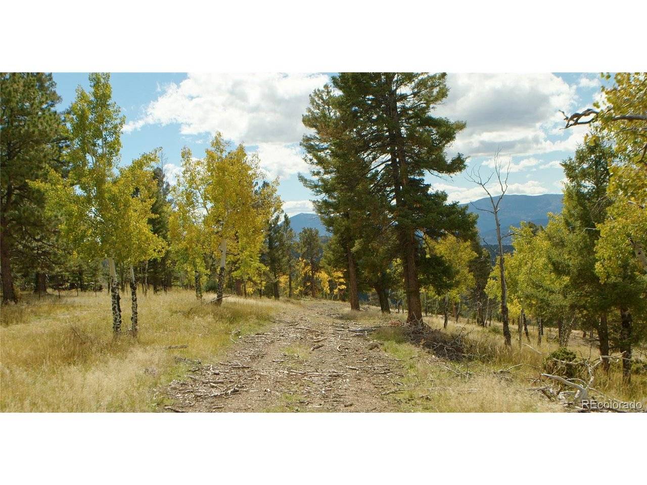 12434 S US Hwy 285, Conifer, CO 80433