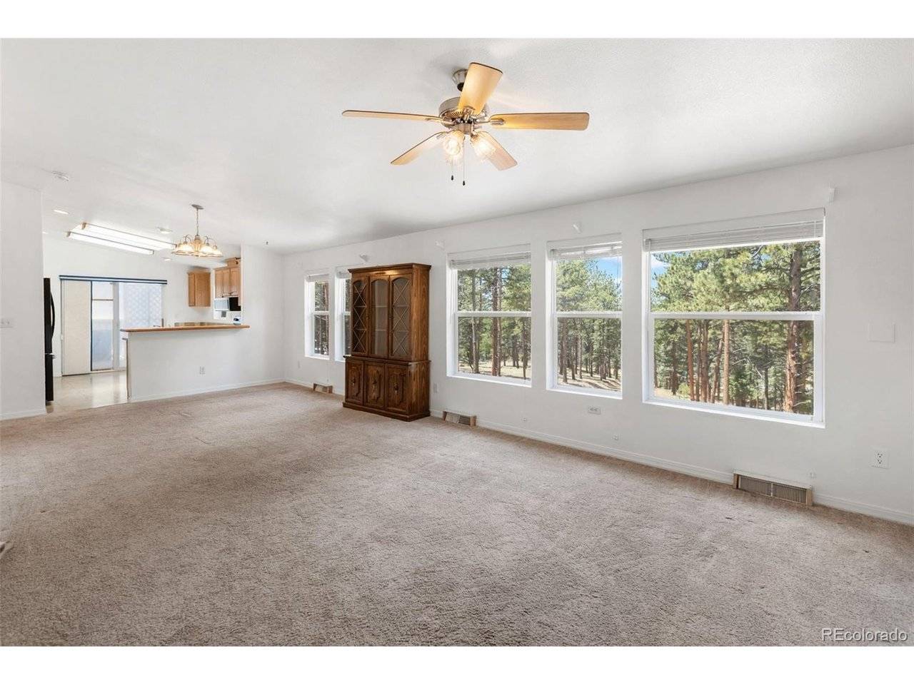 46 Kingston, Florissant, CO 80816