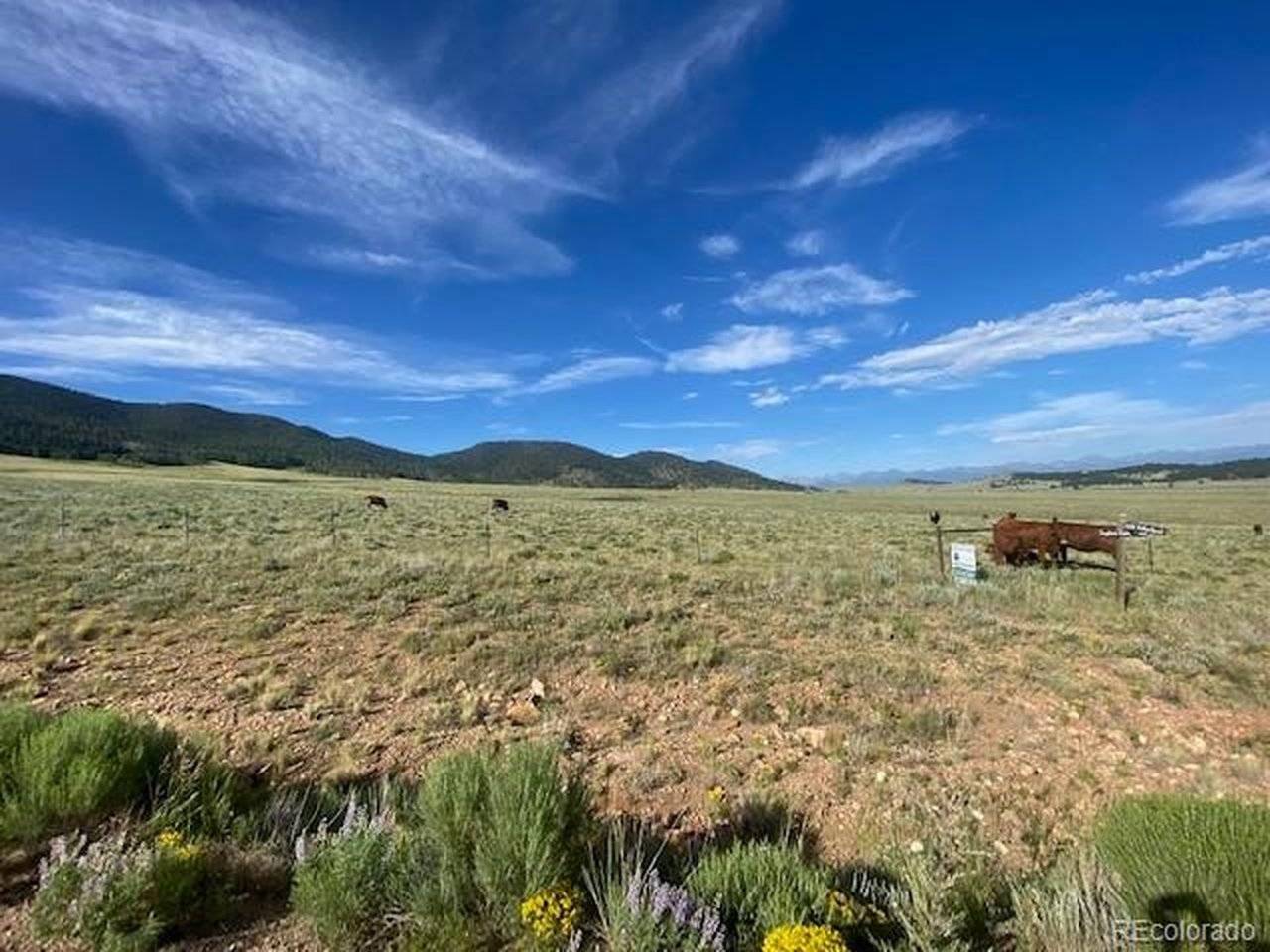 Eagle's Gate, Westcliffe, CO 81252