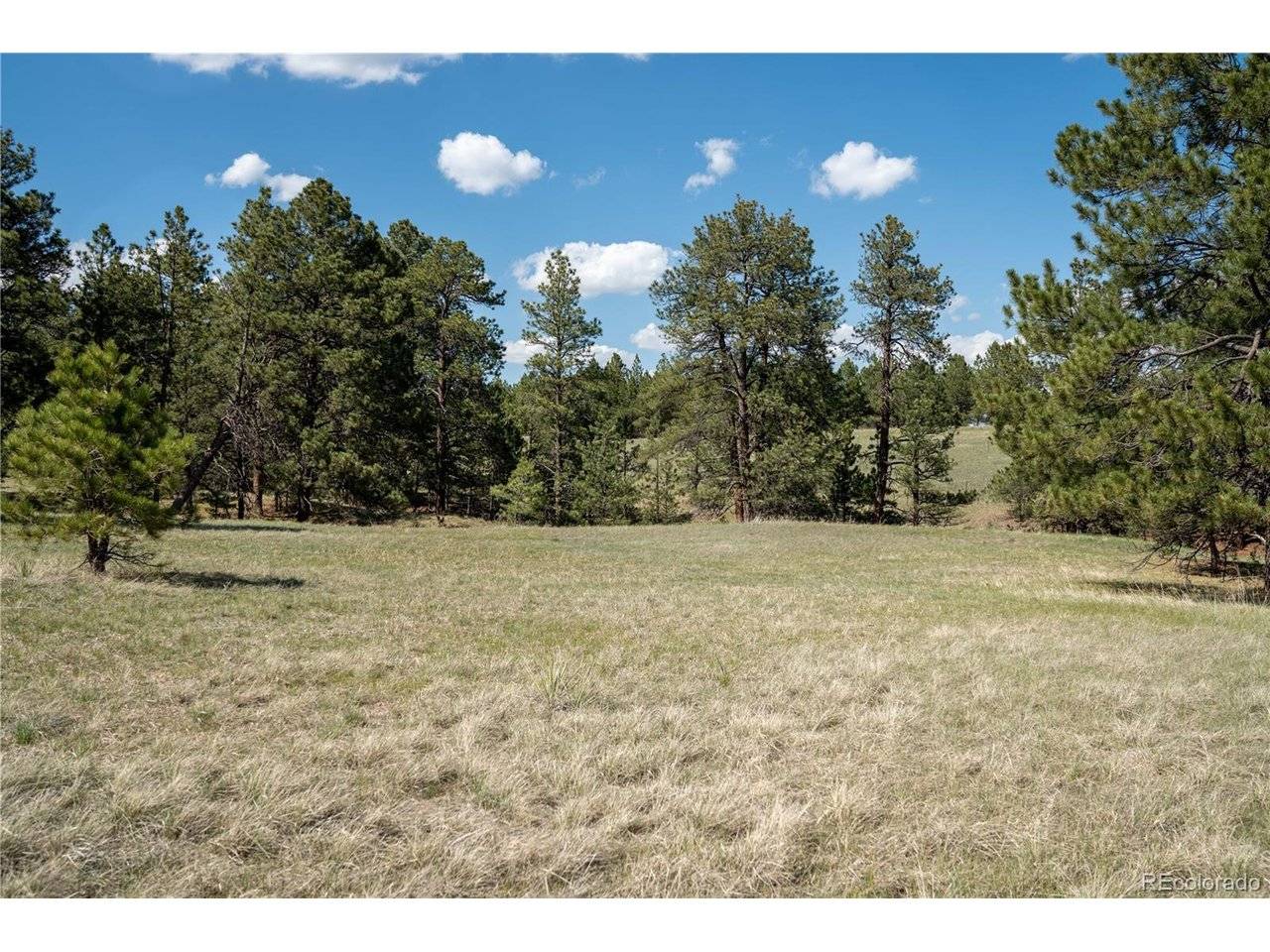 2 Paradise, Elizabeth, CO 80107