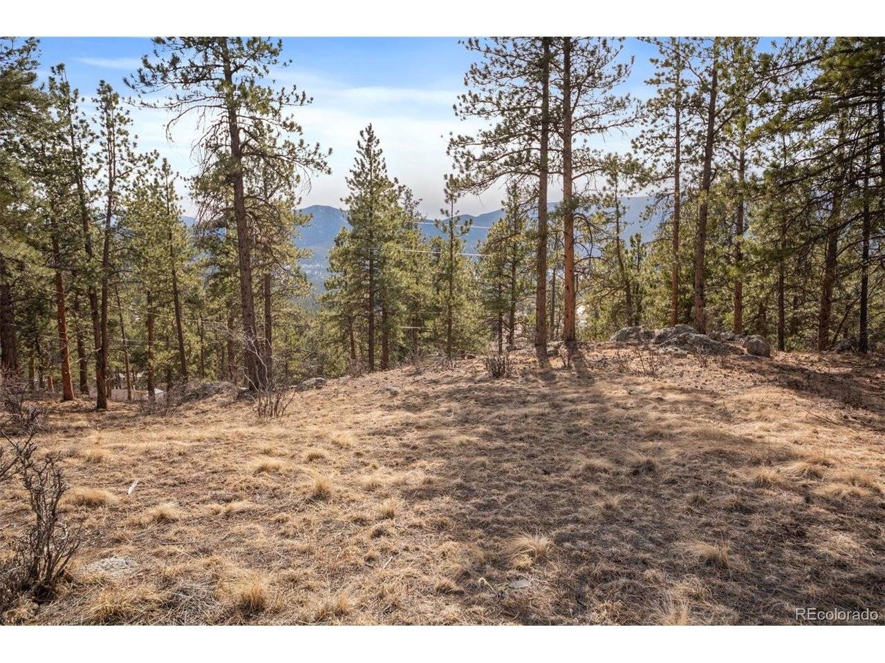 260 Bailey, Bailey, CO 80421