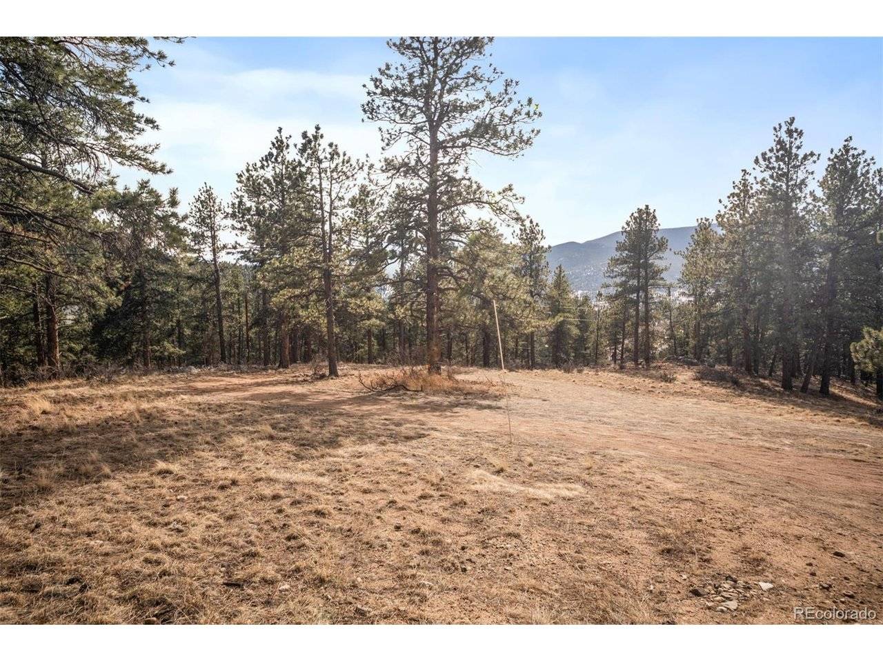 260 Bailey, Bailey, CO 80421