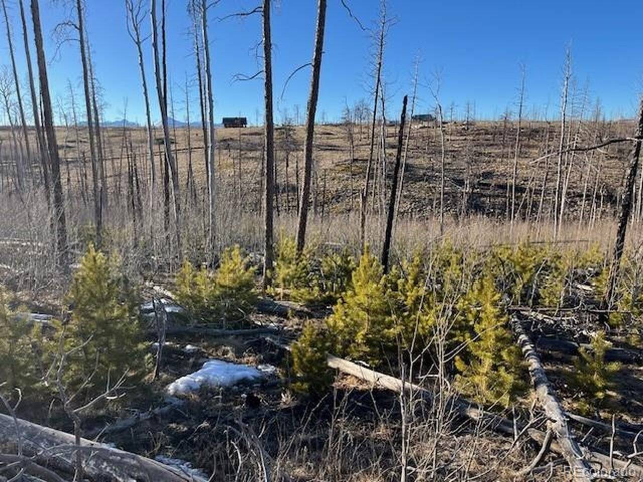 1502 Vonheyl, Fort Garland, CO 81133
