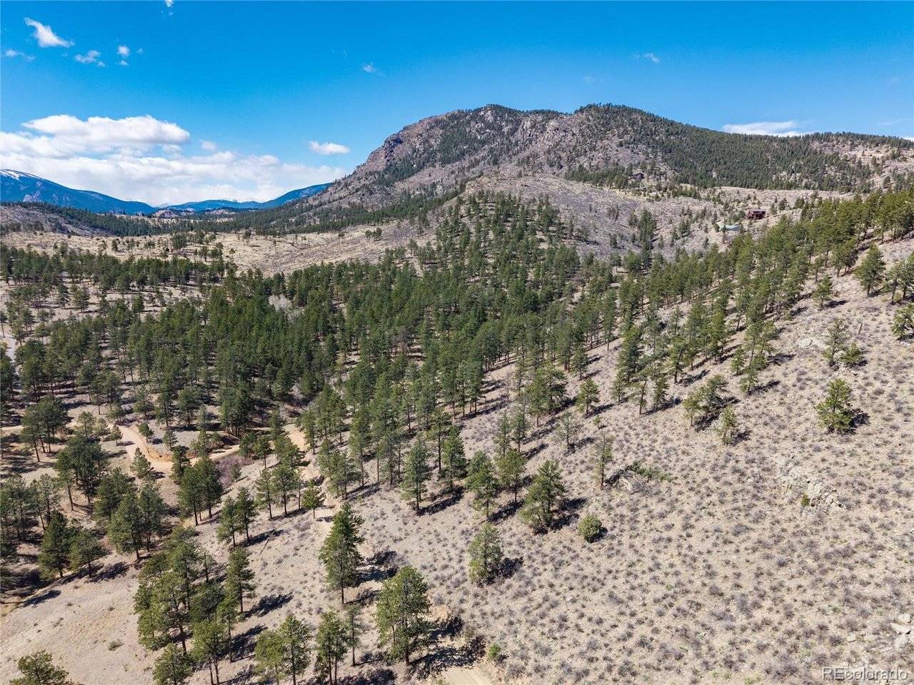 Lot 12A Bailey, Bailey, CO 80421